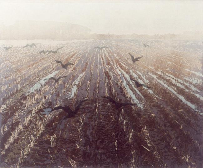 26 Herfstakker 46x38cm.jpg